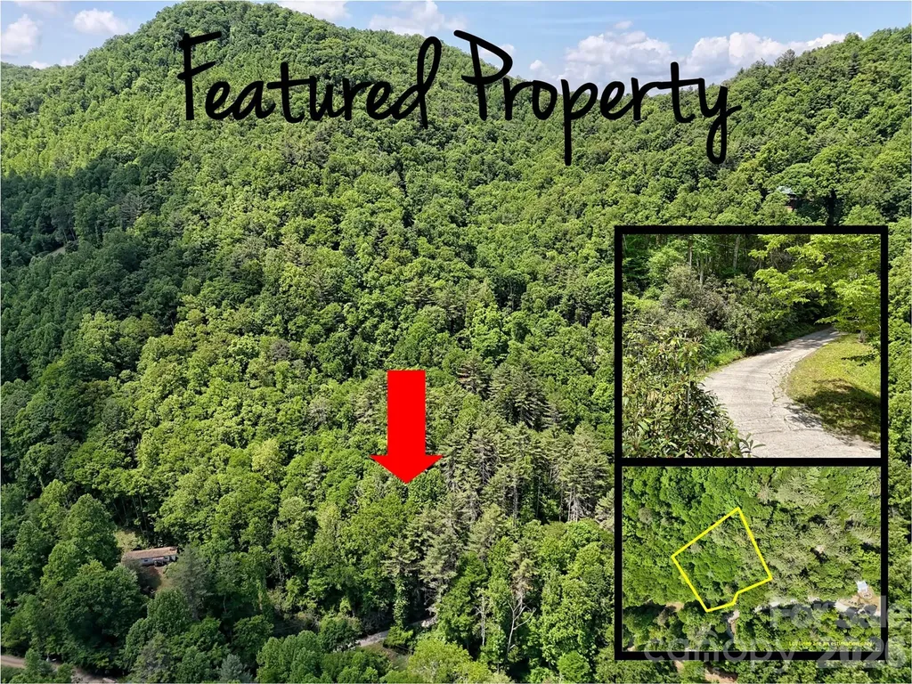 000 Enchanted Forest Drive Sylva NC 28779