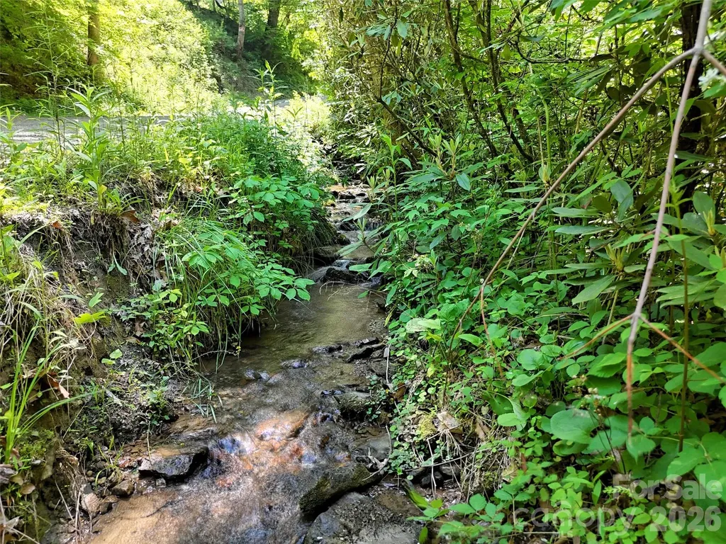 000 Enchanted Forest Drive Sylva NC 28779