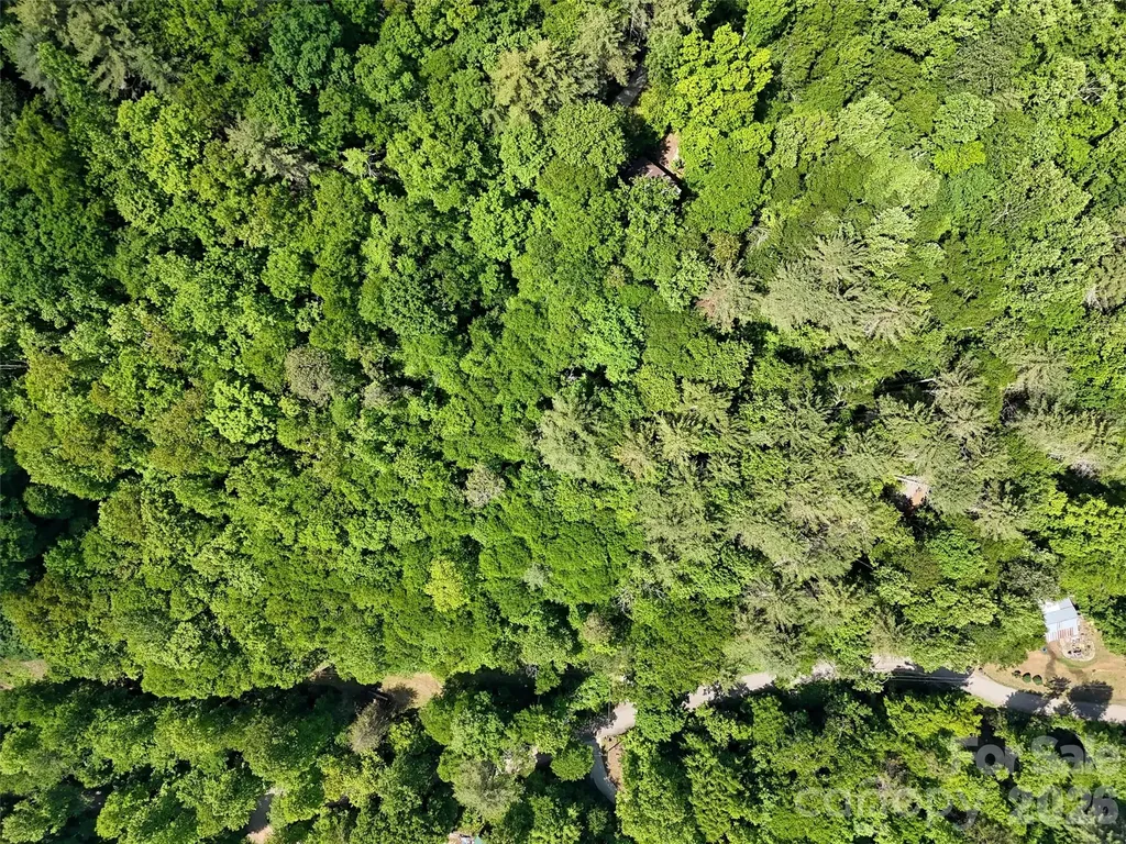 000 Enchanted Forest Drive Sylva NC 28779