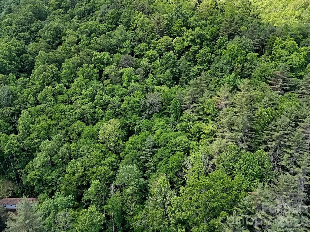 000 Enchanted Forest Drive Sylva NC 28779