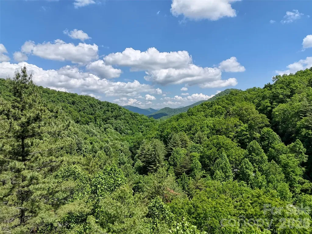000 Enchanted Forest Drive Sylva NC 28779