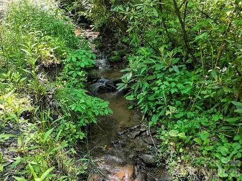 000 Enchanted Forest Drive Sylva NC 28779