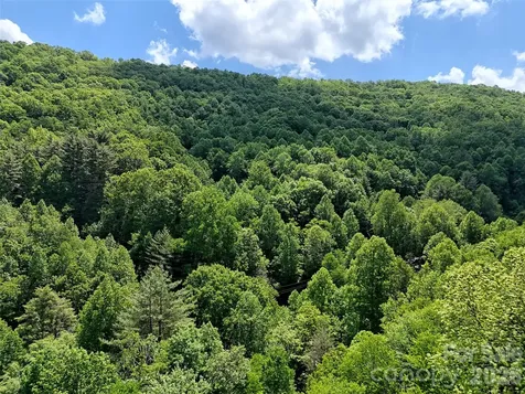 000 Enchanted Forest Drive Sylva NC 28779