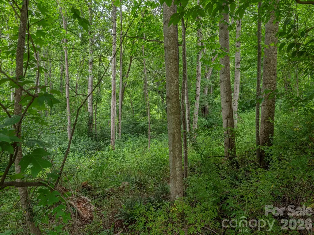 241 Clyde View Heights Clyde NC 28721