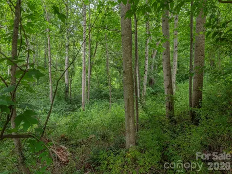 241 Clyde View Heights Clyde NC 28721