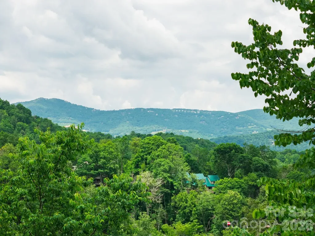 218 Slope View Drive Sugar Mountain NC 28604