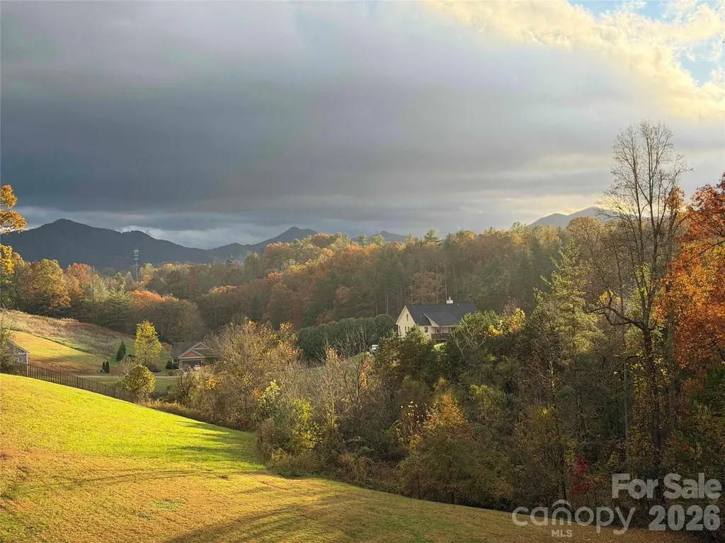 7 Temujin Drive Leicester NC 28748