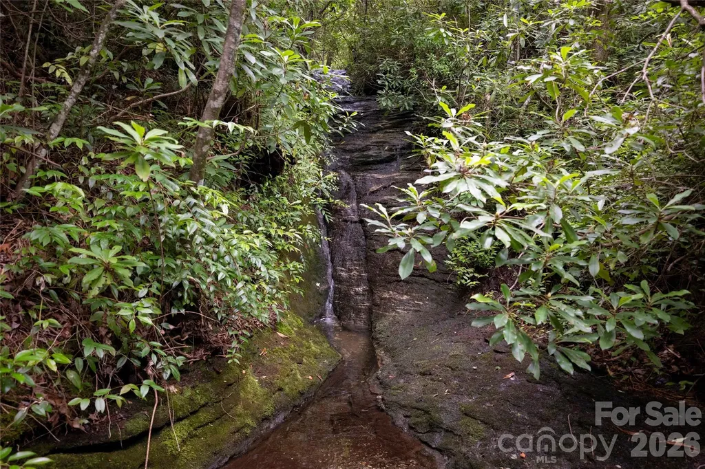100 Meadow Ridge Drive Lake Toxaway NC 28747