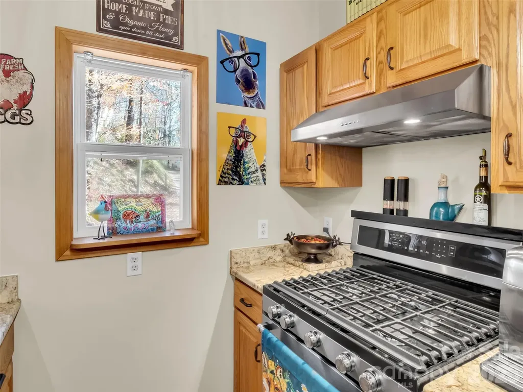 245 Greenview Drive Maggie Valley NC 28751