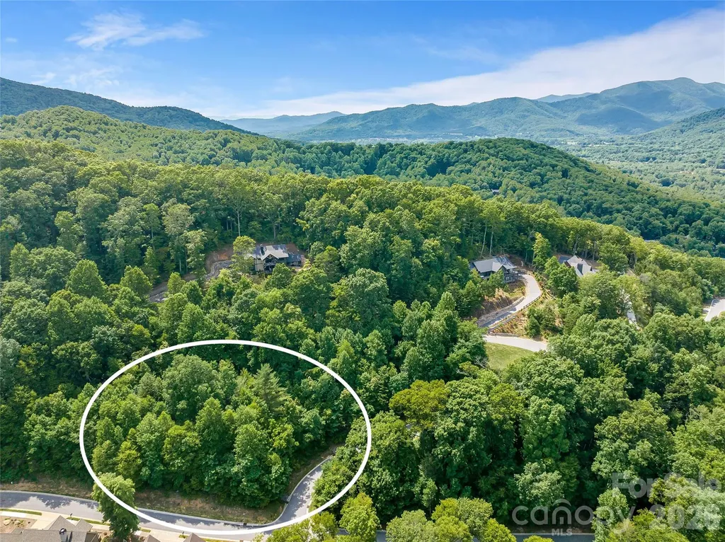 53 Old Lafayette Lane Black Mountain NC 28711
