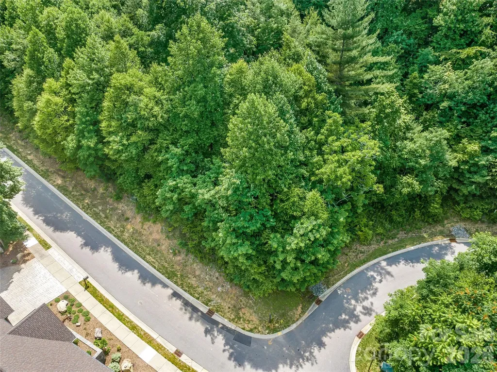 53 Old Lafayette Lane Black Mountain NC 28711