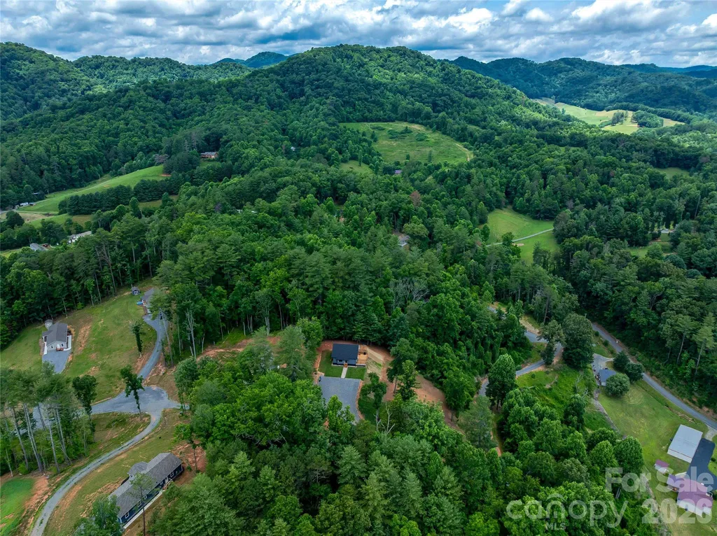 143 Fox Grape Hollow Road Mars Hill NC 28754