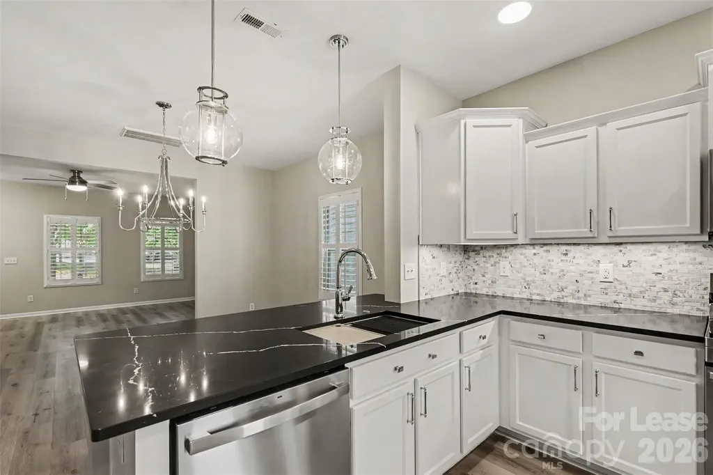 20021 Metaphor Mews Davidson NC 28036