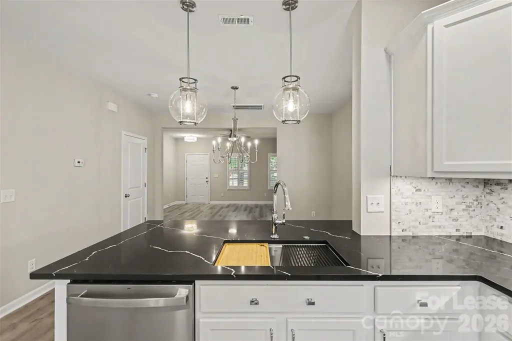 20021 Metaphor Mews Davidson NC 28036