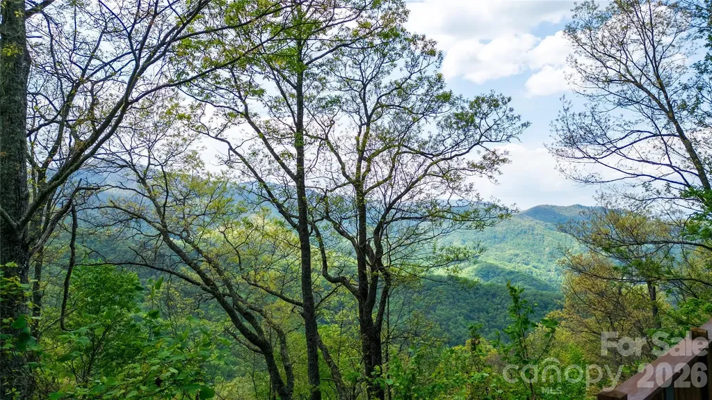 1602 Forest Run Road Sylva NC 28779