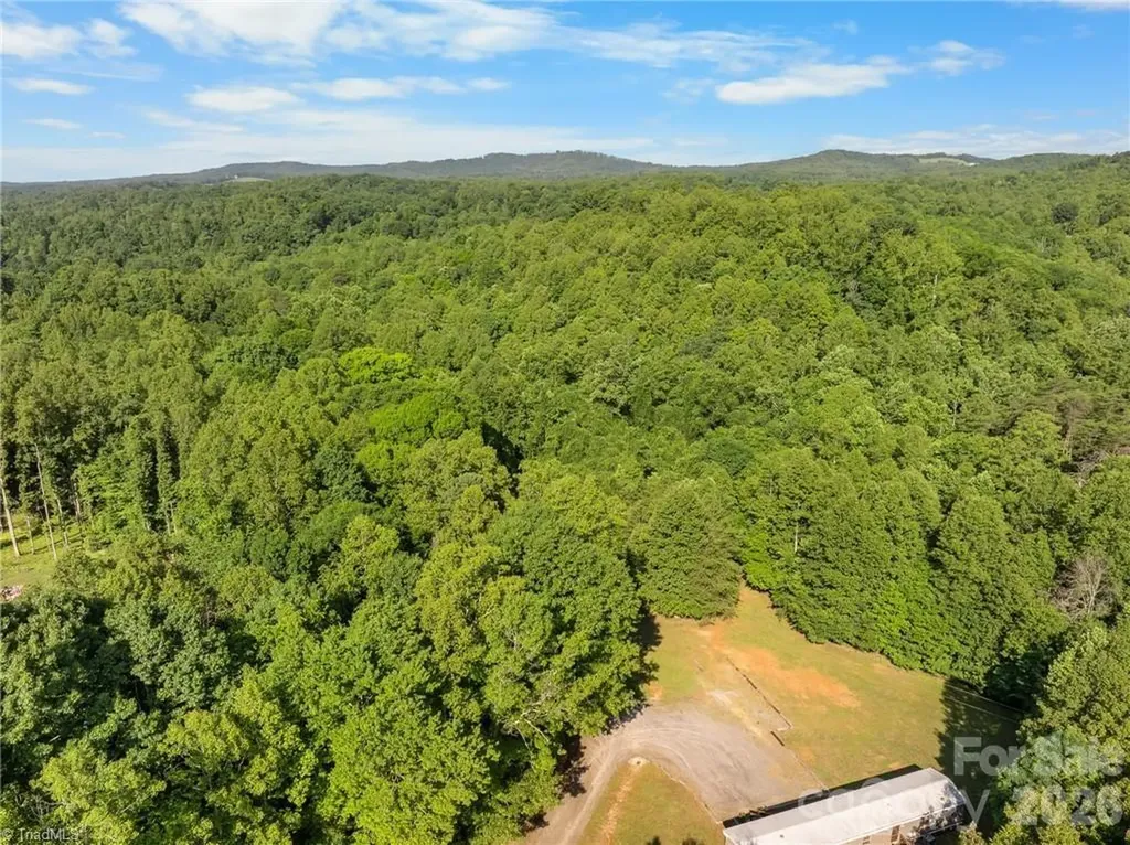274 Echo Hollar Road Westfield NC 27053
