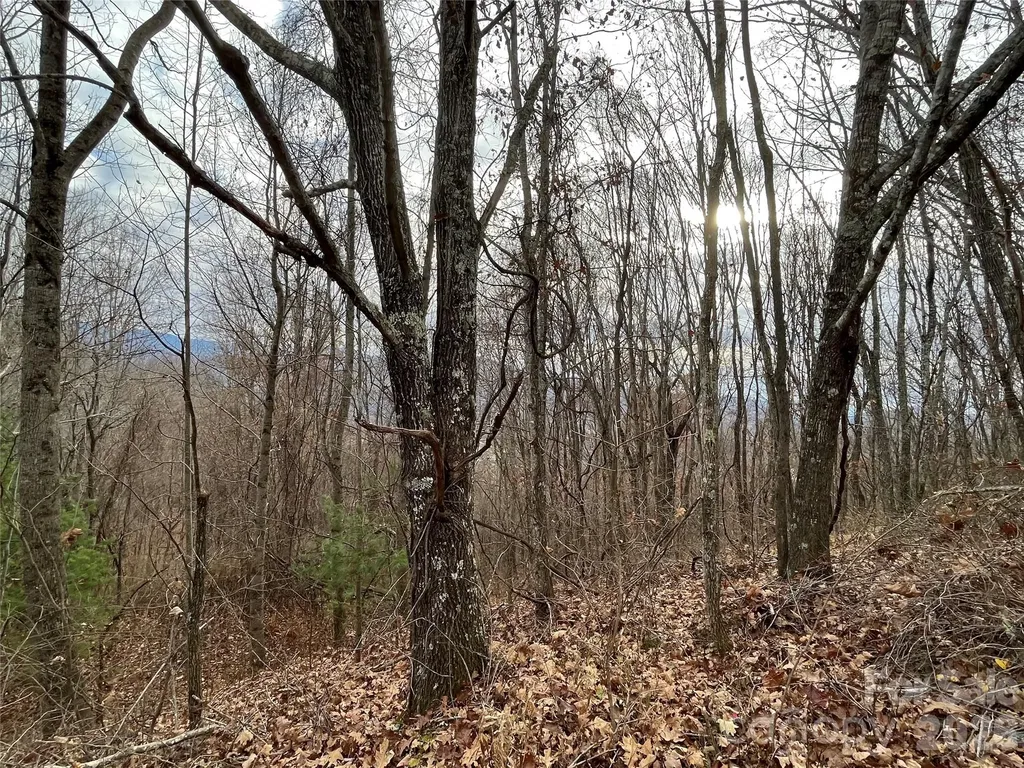 10 Peacock Lane Burnsville NC 28714