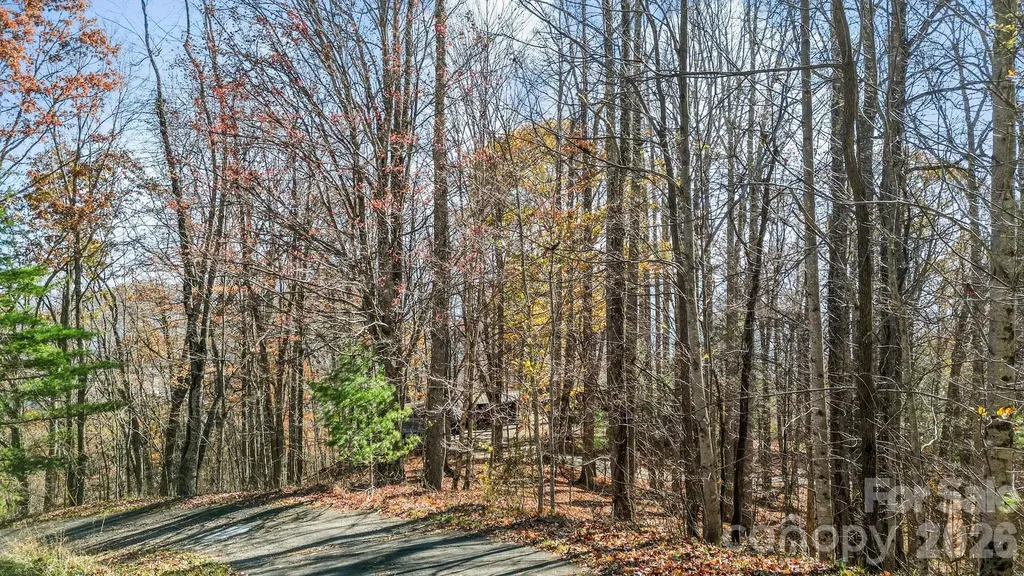 10 Peacock Lane Burnsville NC 28714