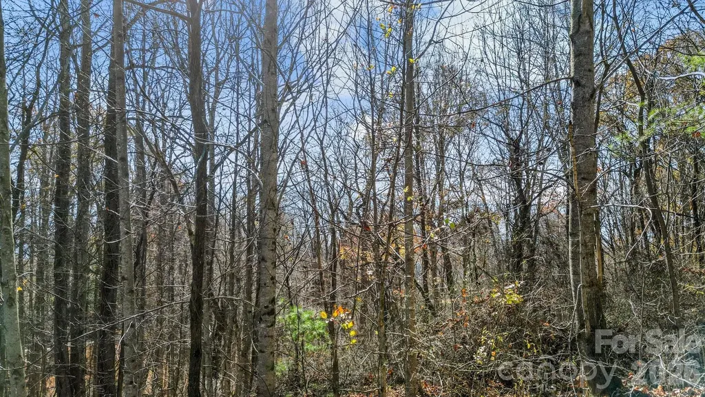 10 Peacock Lane Burnsville NC 28714