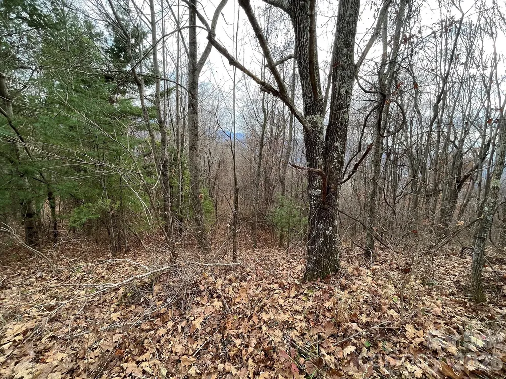 10 Peacock Lane Burnsville NC 28714