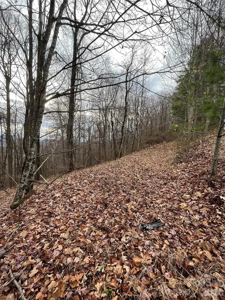 10 Peacock Lane Burnsville NC 28714
