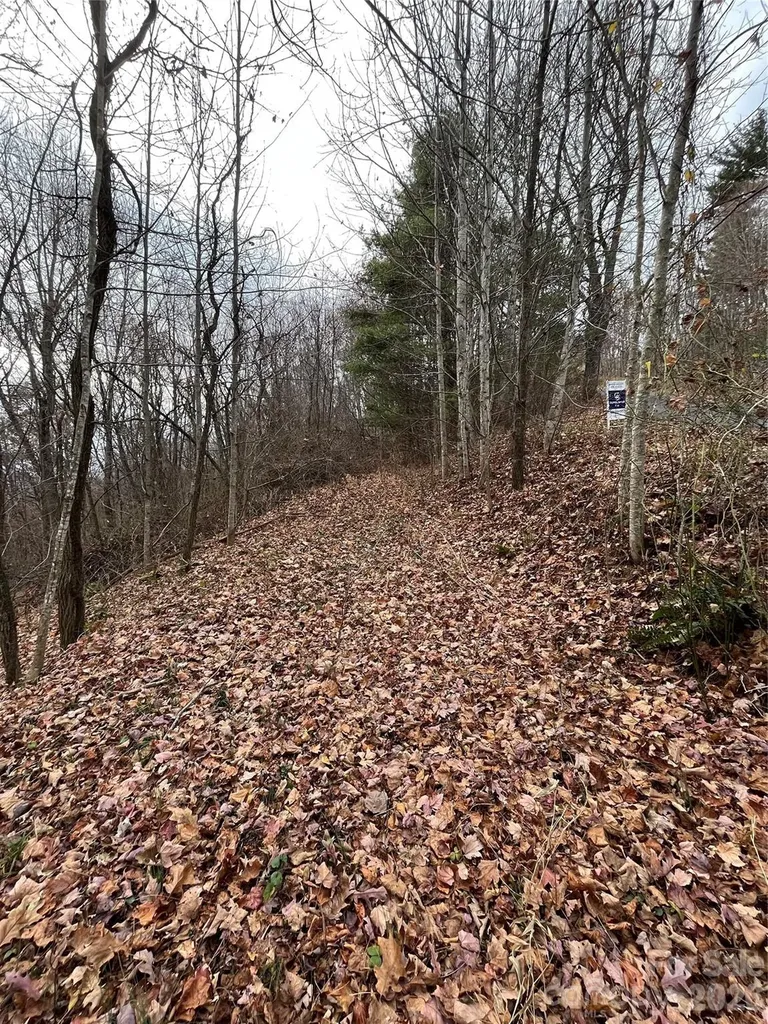 10 Peacock Lane Burnsville NC 28714