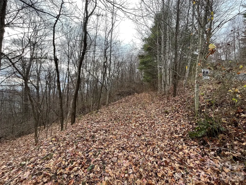 10 Peacock Lane Burnsville NC 28714