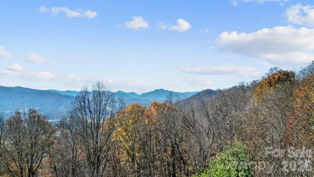10 Peacock Lane Burnsville NC 28714