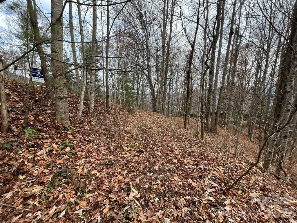 10 Peacock Lane Burnsville NC 28714