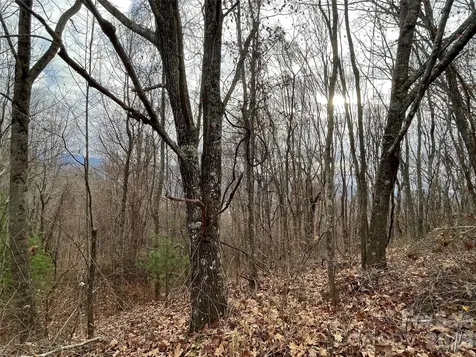 10 Peacock Lane Burnsville NC 28714