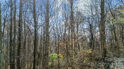 10 Peacock Lane Burnsville NC 28714