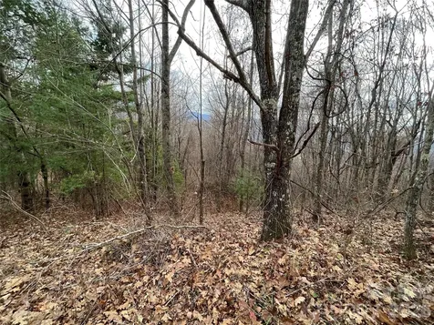 10 Peacock Lane Burnsville NC 28714