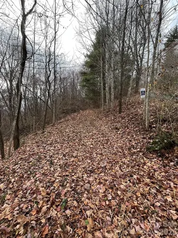 10 Peacock Lane Burnsville NC 28714