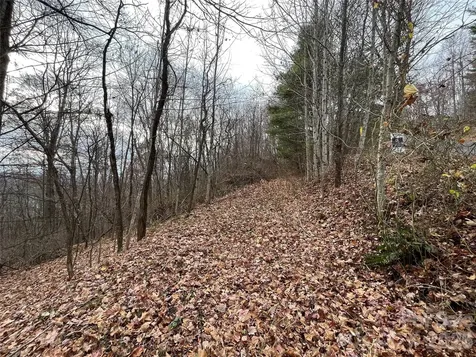 10 Peacock Lane Burnsville NC 28714