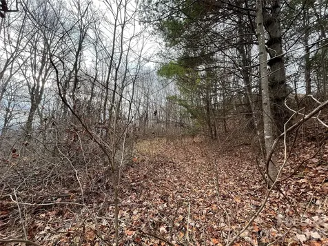 10 Peacock Lane Burnsville NC 28714