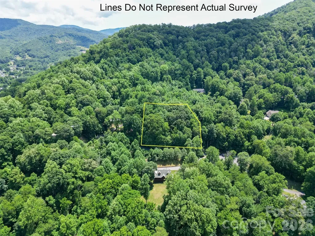 00 Aaron Way Waynesville NC 28786