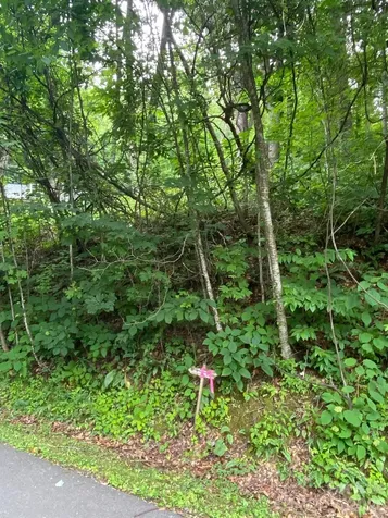 00 Aaron Way Waynesville NC 28786