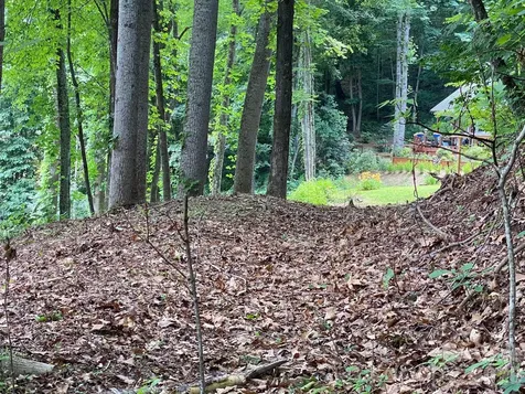 00 Aaron Way Waynesville NC 28786