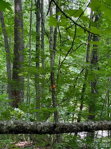 00 Aaron Way Waynesville NC 28786
