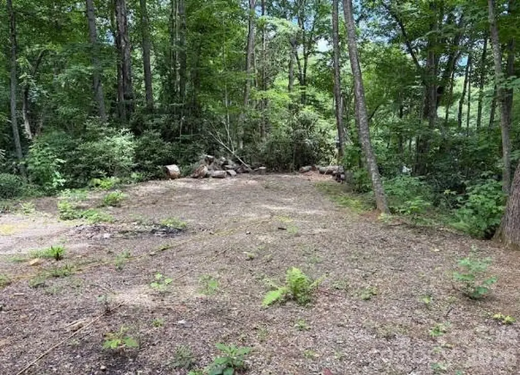 5 Marion Drive Maggie Valley NC 28751