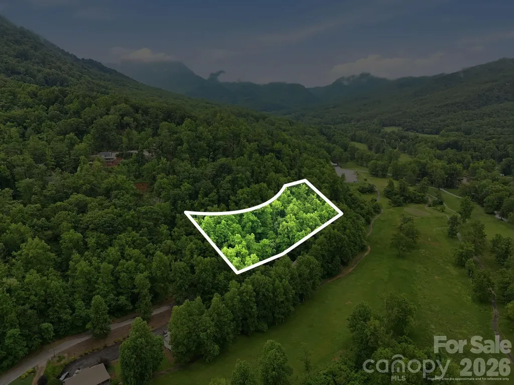 9999 Blue Ridge Drive S Marion NC 28765