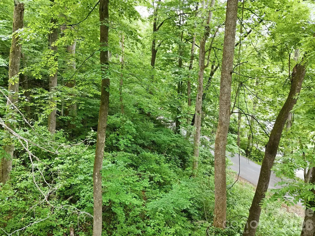 9999 Blue Ridge Drive S Marion NC 28765