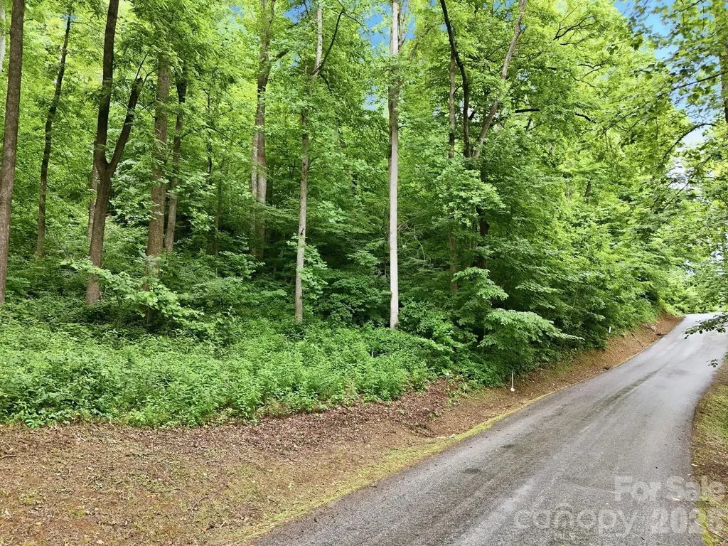 9999 Blue Ridge Drive S Marion NC 28765
