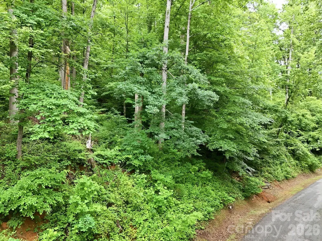 9999 Blue Ridge Drive S Marion NC 28765