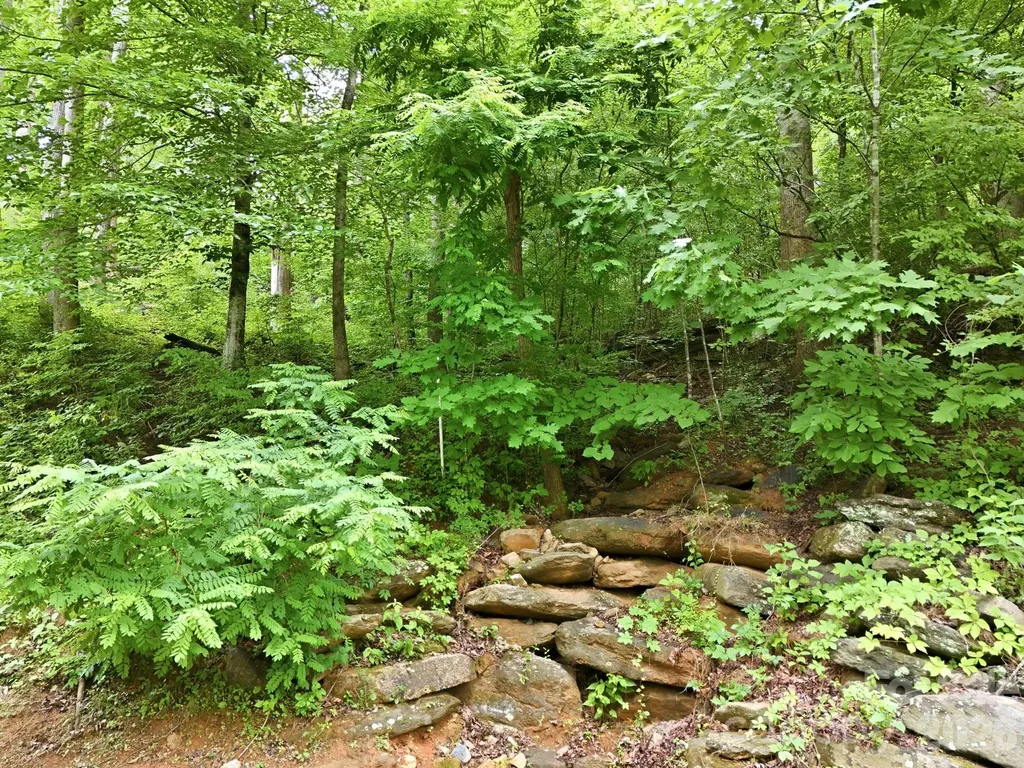 9999 Blue Ridge Drive S Marion NC 28765