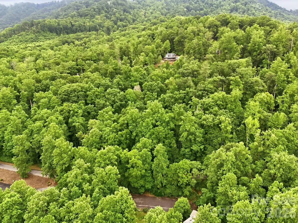 9999 Blue Ridge Drive S Marion NC 28765