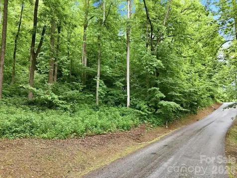 9999 Blue Ridge Drive S Marion NC 28765