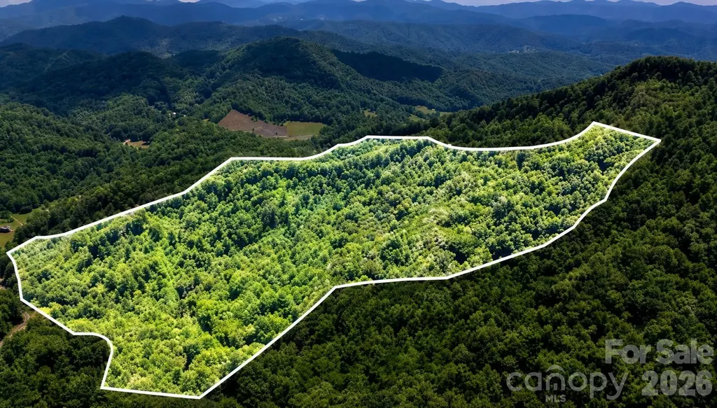 Tbd Windy Gap Road Mars Hill NC 28754
