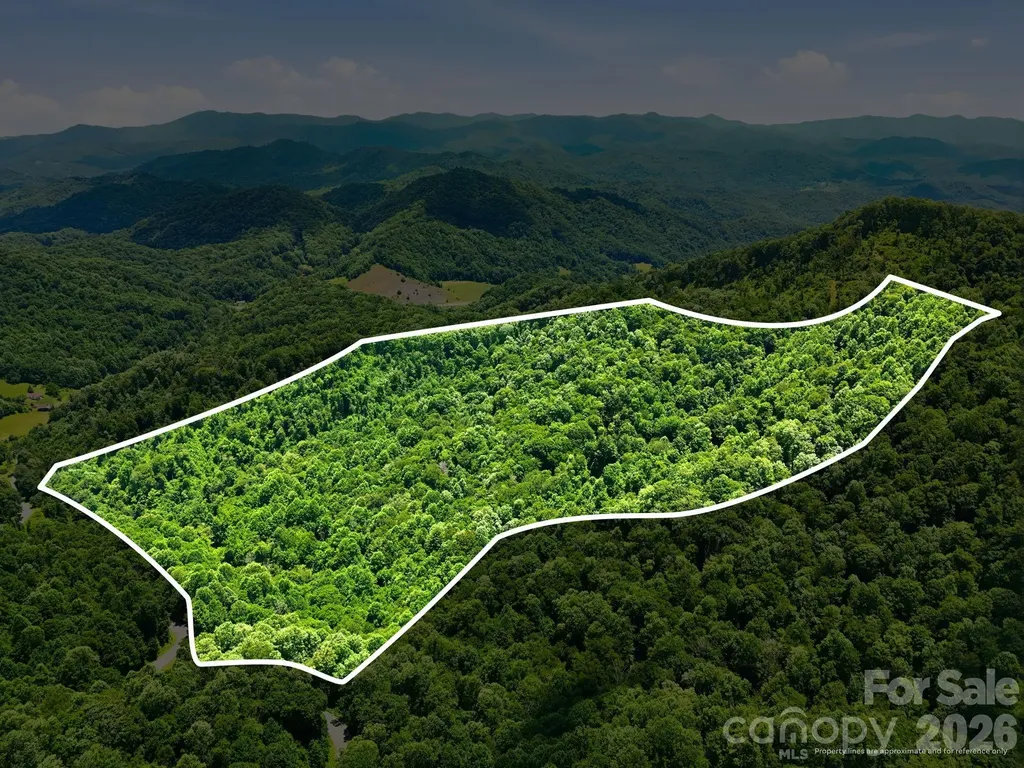 Tbd Windy Gap Road Mars Hill NC 28754
