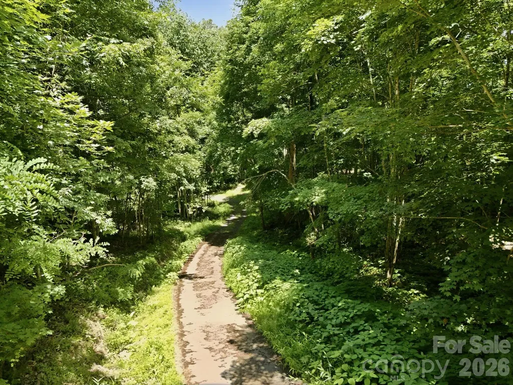 Tbd Windy Gap Road Mars Hill NC 28754